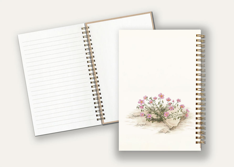 Thumbnail: מחברת ספירלה- שמשון הדור