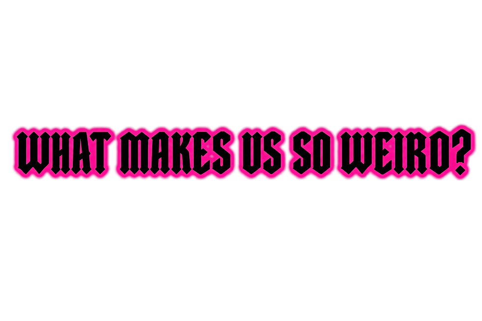 0f5d8dd1-8d6c-4937-b2f5-ae6cfe9f5ff7.png