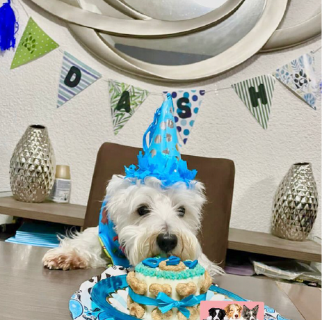 cumpleaños-para-perro.png
