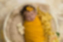 Bump to Baby Bundles