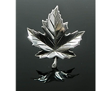 C0632329-133E-4A59-962C-37477148DD0B_1_2