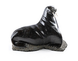 img-10_edited.png