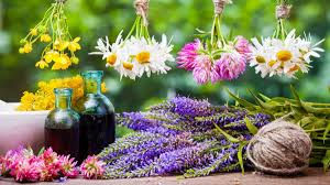 Flores de Bach Tratamiento complementario y eficaz