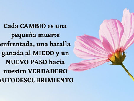 Importancia de la Adaptación