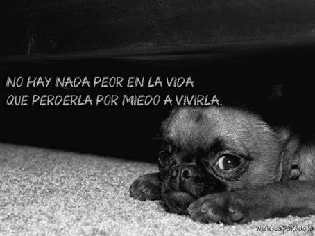 Las paradojas del miedo