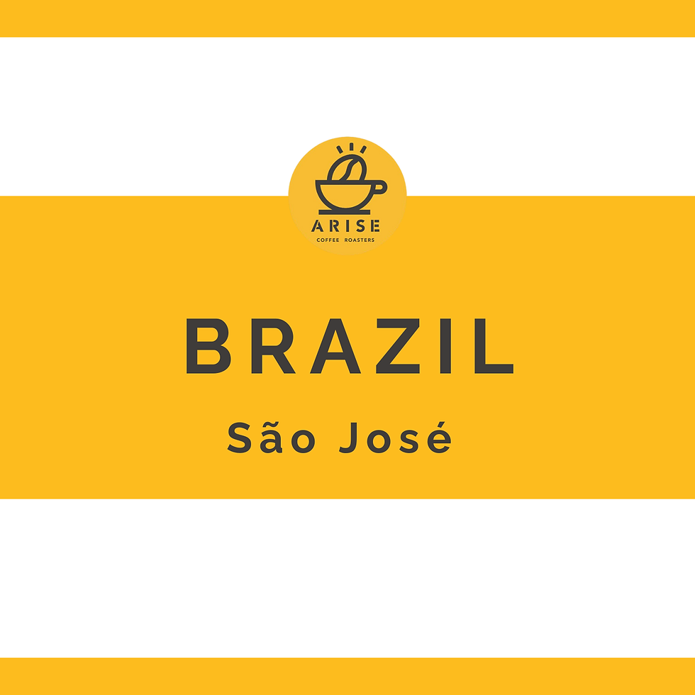 Brazil (São José )