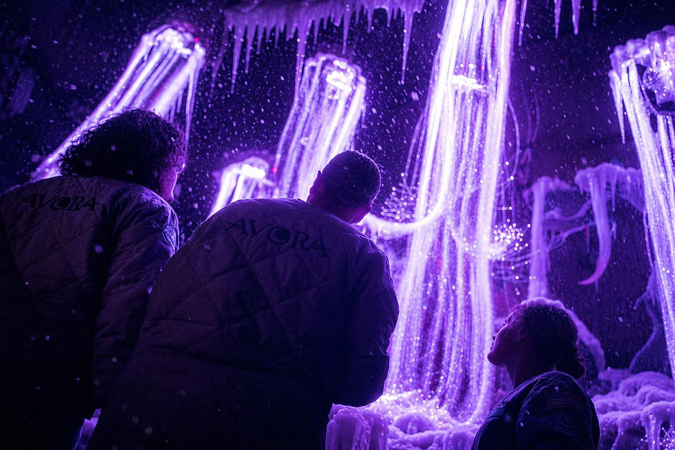 Three people in AVORA jackets gaze at a glowing purple ice-like light installation with cascading streams in a dark room.