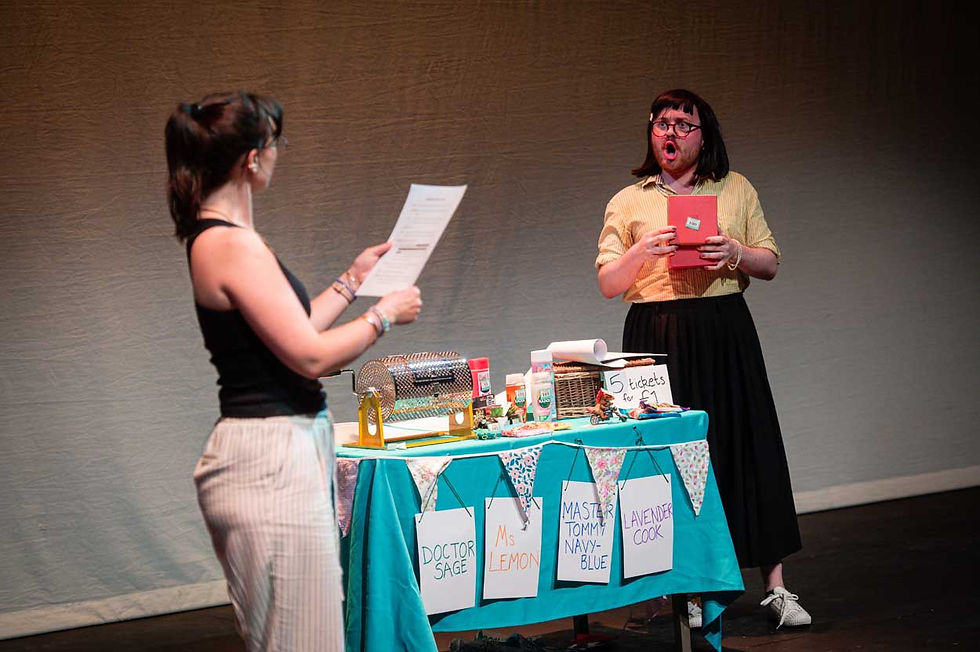 Two people at a colorful raffle table, one reading a sheet and one holding a red box; signs say Doctor Sage, Ms Lemon, and Lavender Cook.