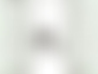 Gesetzeslücken im Tierschutz