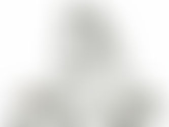 Ergänzungsfuttermittel zur Beruhigung