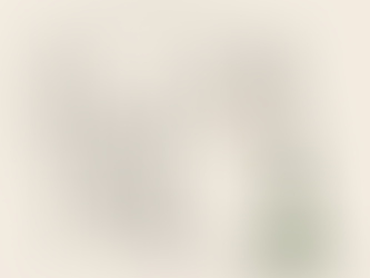 Warum Pferde nicht erbrechen können - und warum das gefährlich sein kann