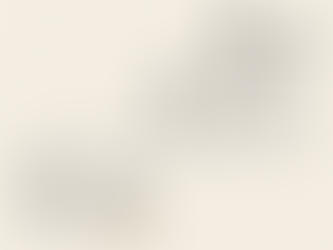 Magengeschwüre - auch ein Problem von Freizeitpferden