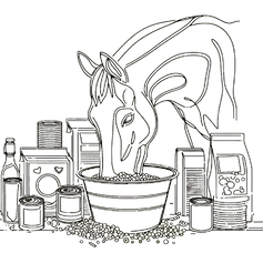 Futtercheck Pferklaert