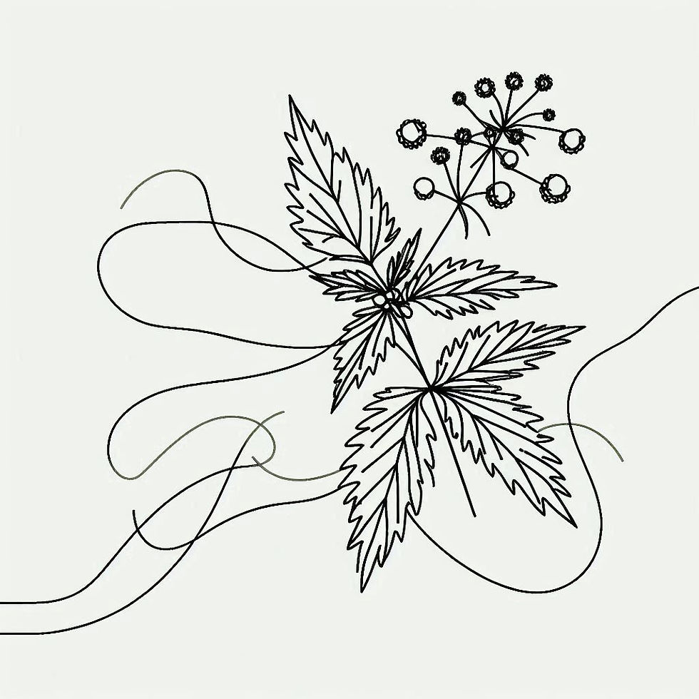 Brennnessel