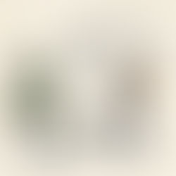 Fütterungsvergleich: konventionelles, natürliches und selbst gemischtes Mineralfutter