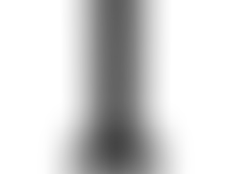 RDX XXL 330LBS FREESTANDING PUNCHING BAG