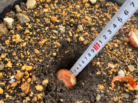 ワオグラガーデン　episode15