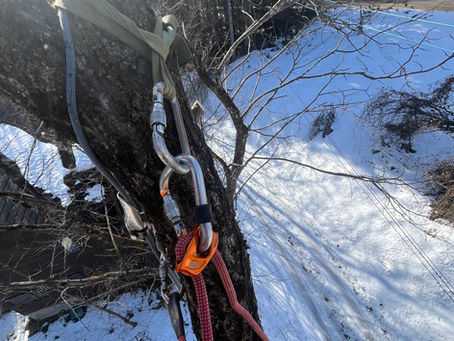 ワオウラ　episode18