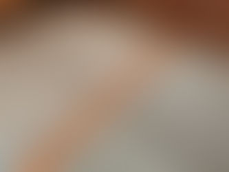 ワオグラDIY日記　その34