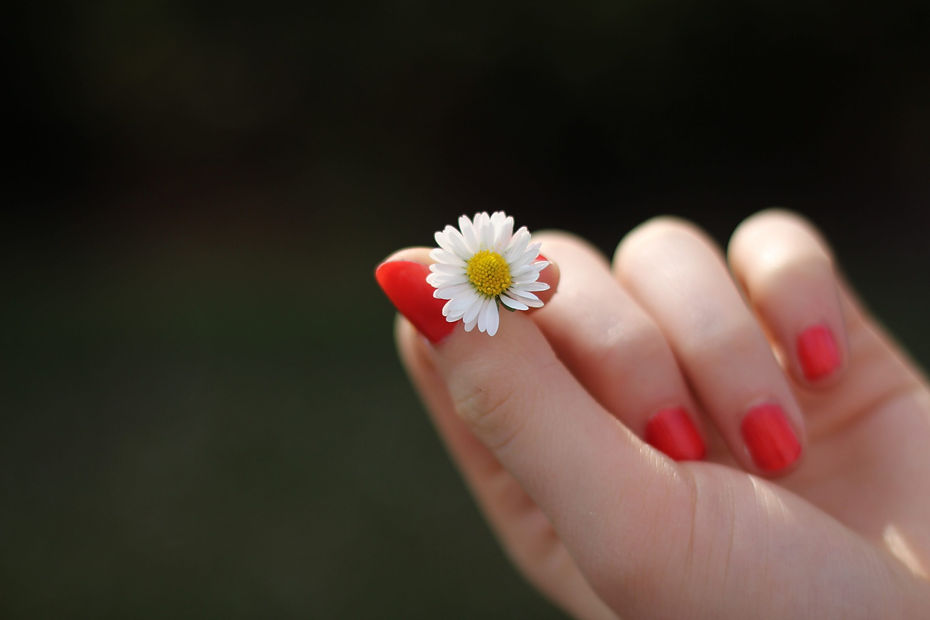 hand-daisy-flower-finger-57465-e1478455172384.jpeg