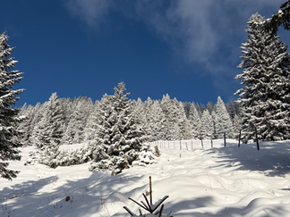 Winterzauber Landschaft am Spitzstein im Inntal