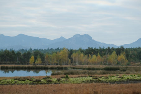 Blick aus der Sterntaler Filze in die Berge