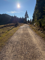 Auch im Herbst gibt es noch schöne Blumen zu sehen