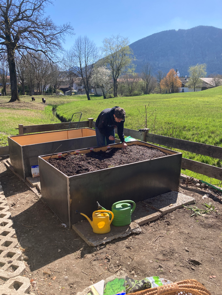 Moni beim bepflanzen der neuen Cortenstahl Hochbeete