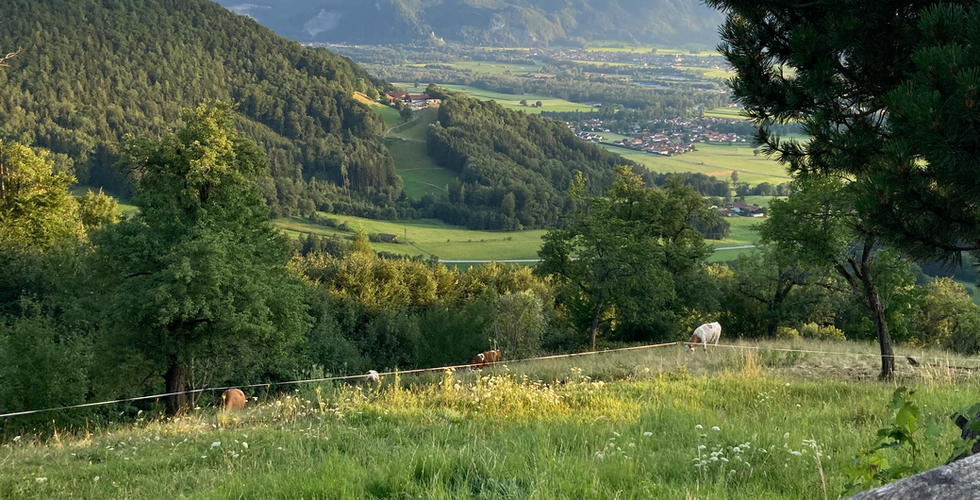 Schöner Ausblick von der Dandlbergalm auf das Inntal