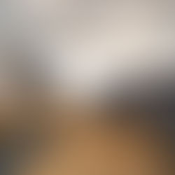 Wohnzimmer | Projekte