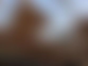 小屋作り16日目（3月4日）屋根・野地板打ち付け