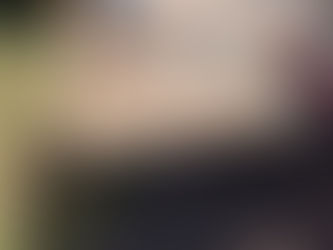 小屋作り27日目(4月18日)外壁仕上げ