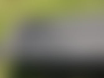 ハンモックネットをぶった切って・・・