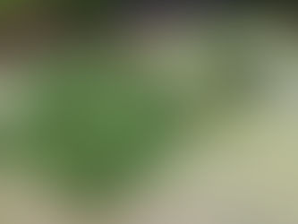 庭をいじるようにキャンプ場をいじる
