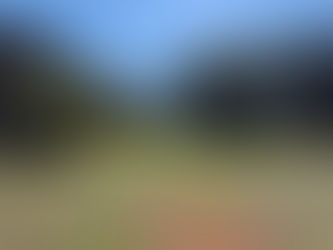 すごくいい天気!!なんだけどなあ~