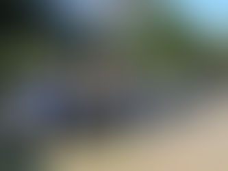 どこからくるの?そのパワー!