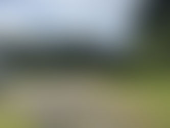 さあ、どうなることやら・・・