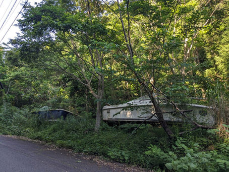 不思議な光景・・・