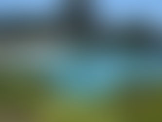 夏まっさかり!