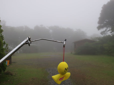 霧!すっごい霧!
