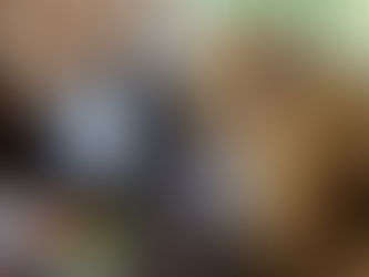 椅子が欲しくなったので・・・