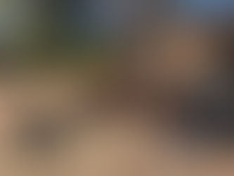 さすがにすごかった！