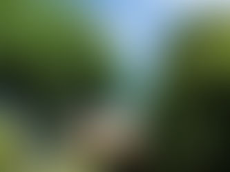 最高のキャンプ日和!