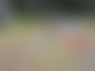オフロードコースつくろうかな・・