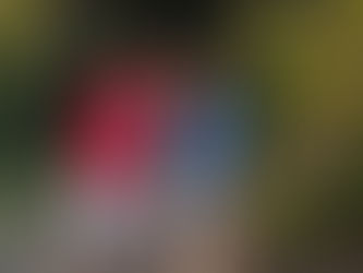 がんばれ!ニッポン!祝!オリンピック出場!追記)祝8位入賞!!!