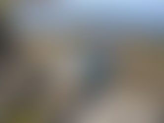 下田・恵比須島散歩