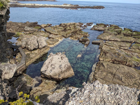 下田・恵比須島散歩