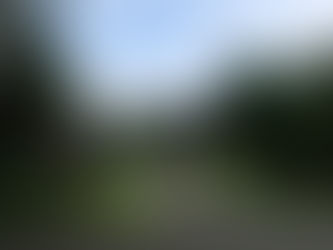 夏の終わりの・・・