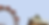 Untitled design (2).png