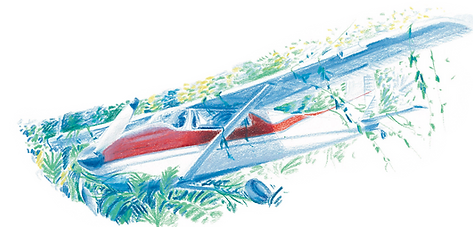 Plane crash_edited.png